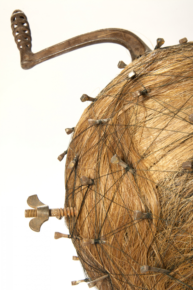 Hair Brain Detail